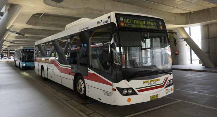 Port Stephens Volvo B7RLE Custom CB60 Evo II 39 & Rover Iveco Metro Express 17